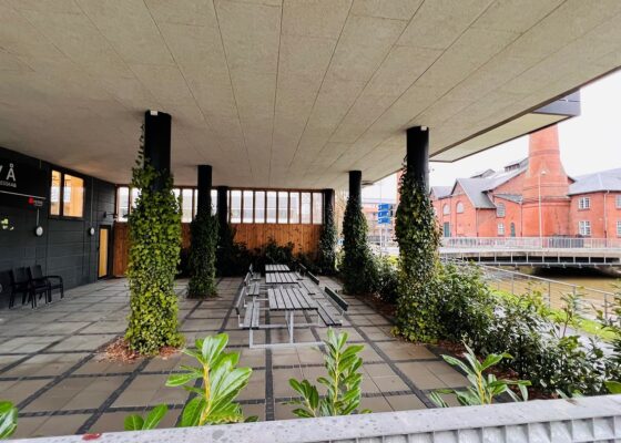 Fælles terrasse